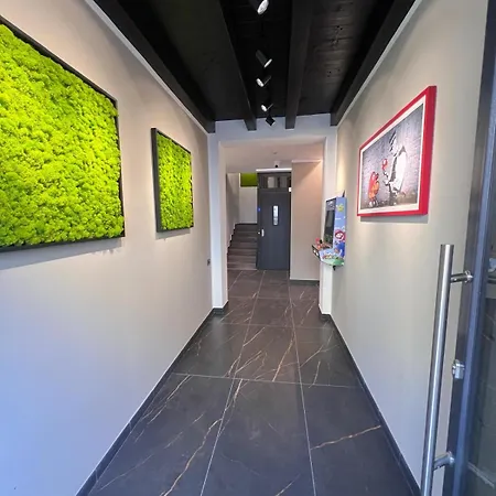 5 Terre Hub Art